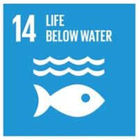 SDG 14